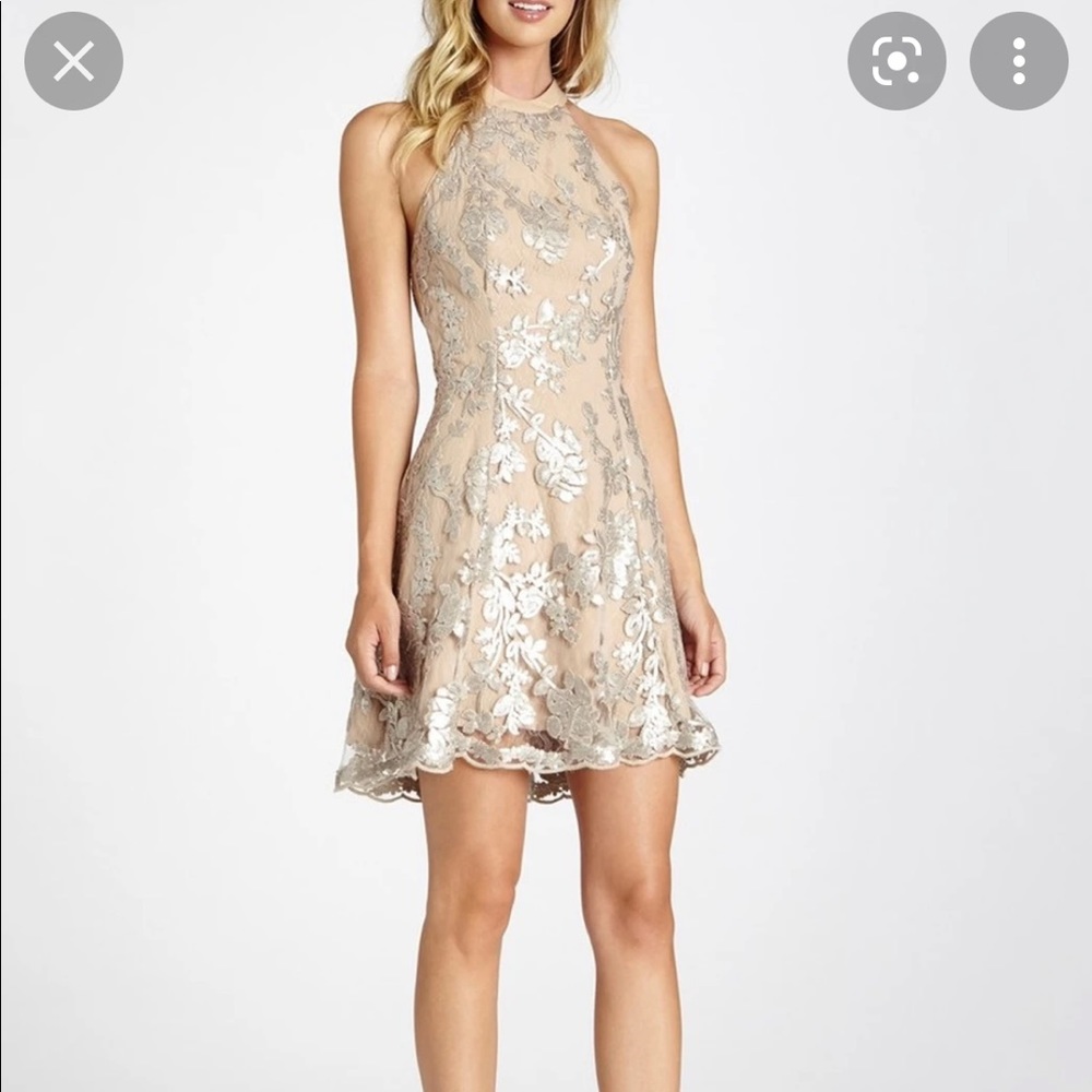 Dress the Population Abbie Dress